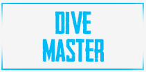 Opleidingen-divemaster